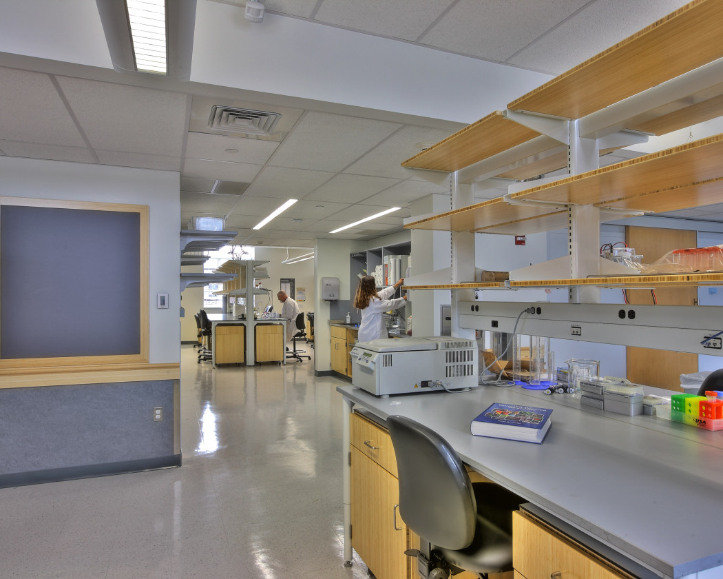 Yale Labs Aug 2009 03 1050x840