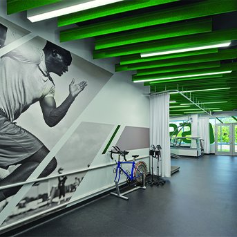 Gatorade Sport Science Institute